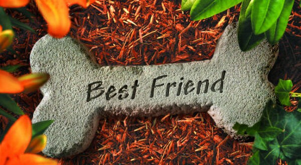 Cement Headstone Dog Bone Best Friend Pet Memorial Sculpture